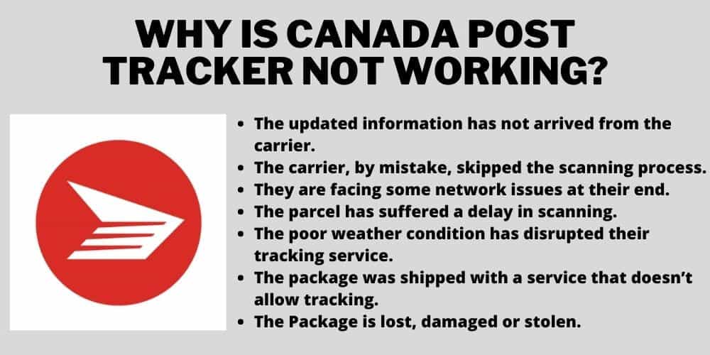 Why is Canada Post Tracker Not Working? - Infographic