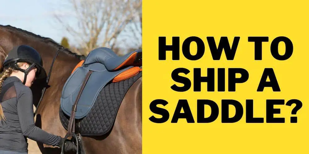How to Ship a Saddle?